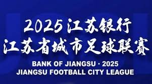 中超控股融资动态分析：净买入与融资余额的深度解读